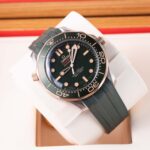 Omega Seamaster 210.92.42.20.10.001 2026