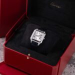 Cartier Santos Dumont WSSA0085 2025