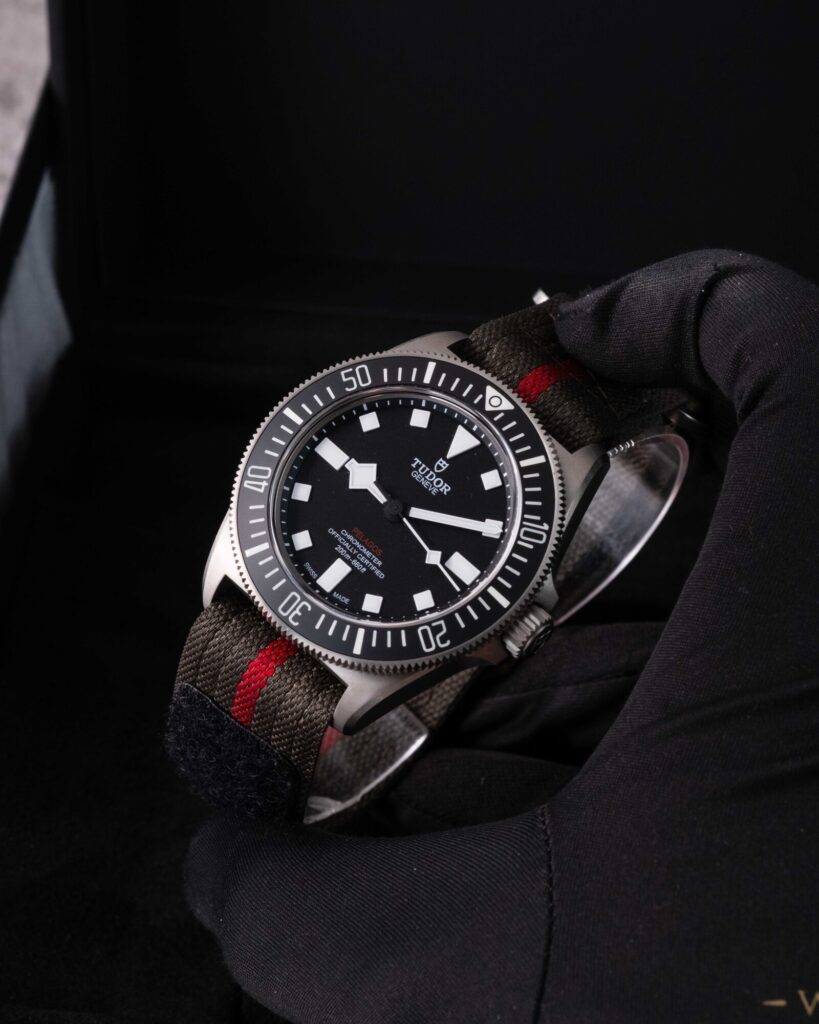 Tudor Pelagos 25717N 2024