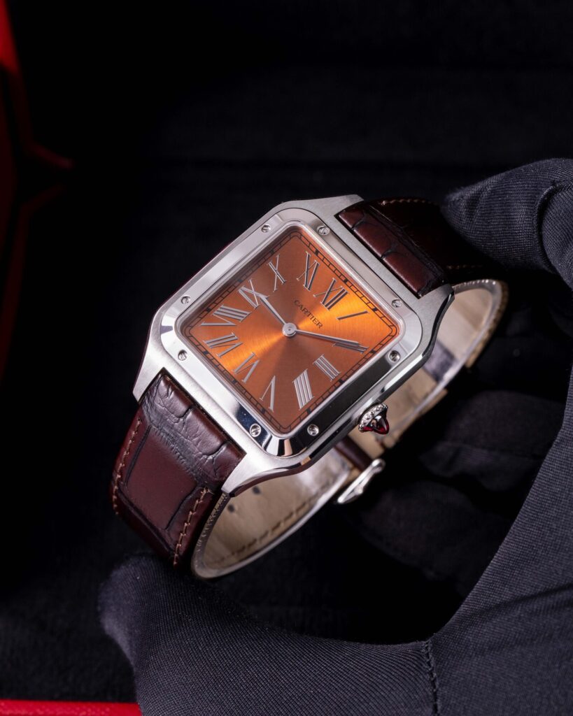 Cartier Santos WGSA0113 2025