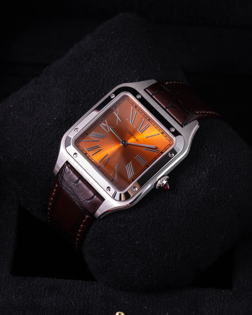 Cartier Santos WGSA0113 2025