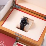 Omega Seamaster Planet Ocean 600M  215.32.44.21.01.001 2022