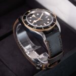 Tudor Black Bay 79733N 2022