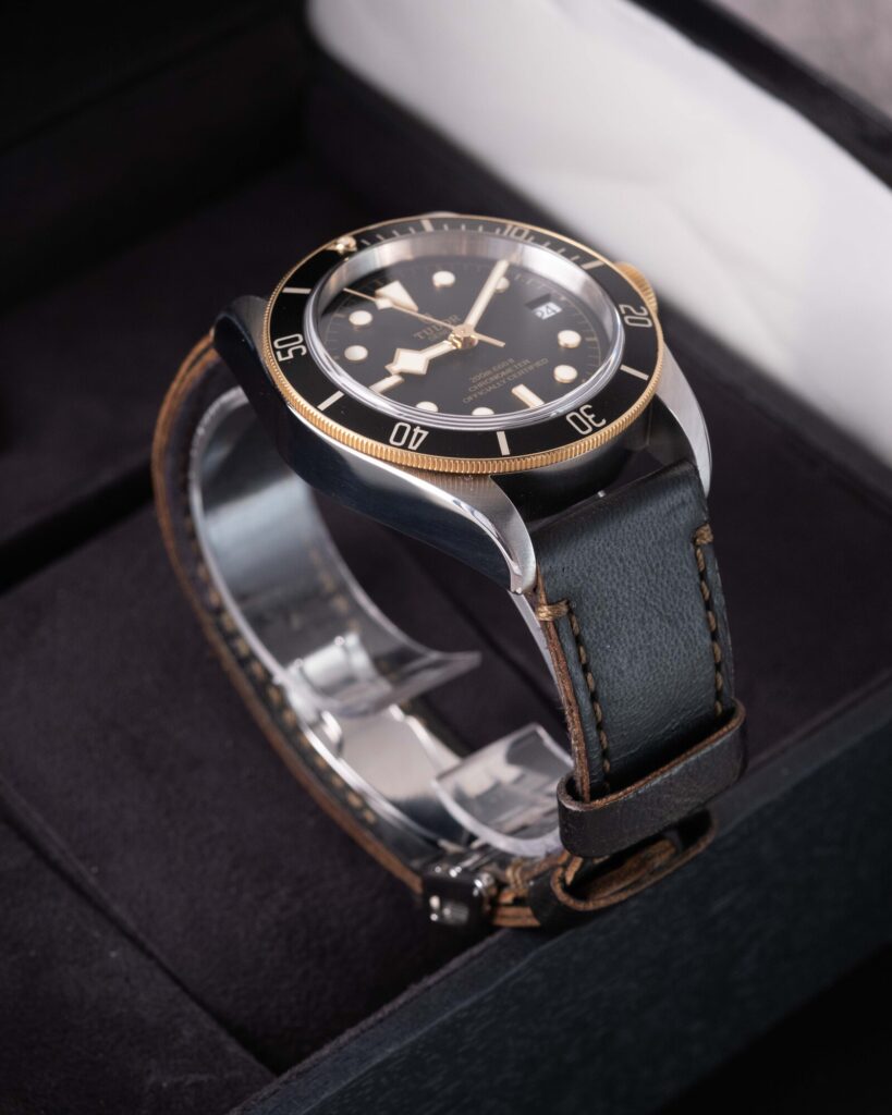 Tudor Black Bay 79733N 2022