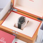 Omega Seamaster 210.92.42.20.10.001 2026