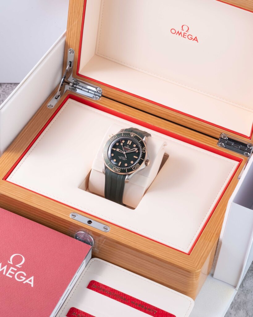 Omega Seamaster 210.92.42.20.10.001 2026