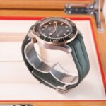 Omega Seamaster 210.92.42.20.10.001 2026