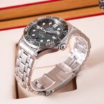Omega Seamaster Professional 210.30.42.20.01.001 2025
