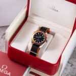 Omega Seamaster Planet Ocean 29095082 2012