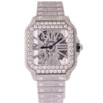 Cartier Santos De Cartier WHSA0015