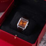 Cartier Santos WGSA0113 2025