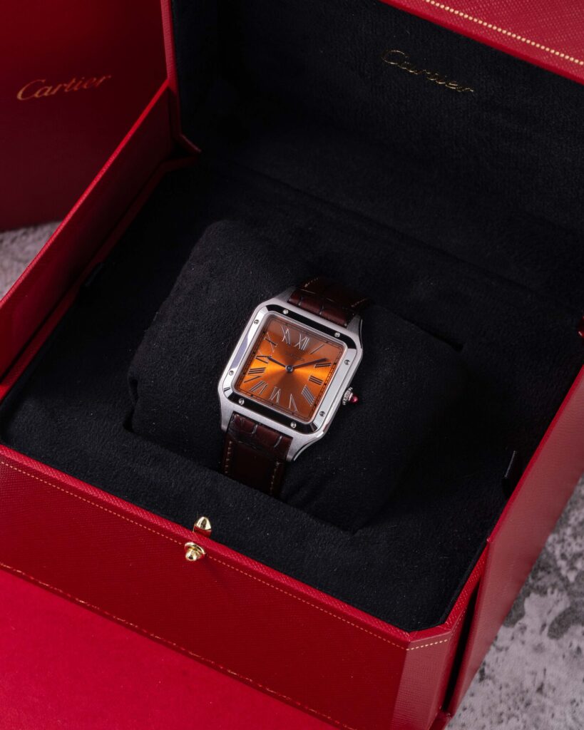 Cartier Santos WGSA0113 2025